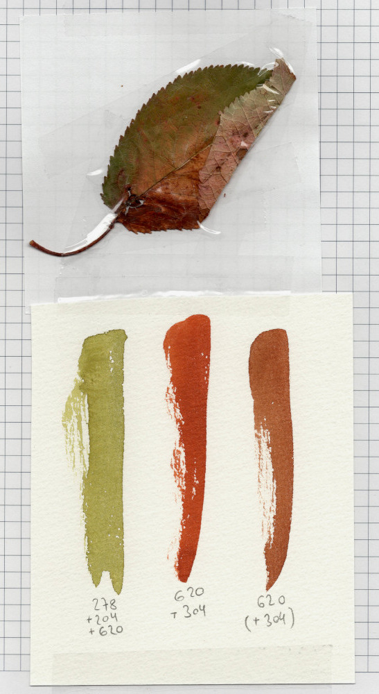 Blatt - rot, braun, grün