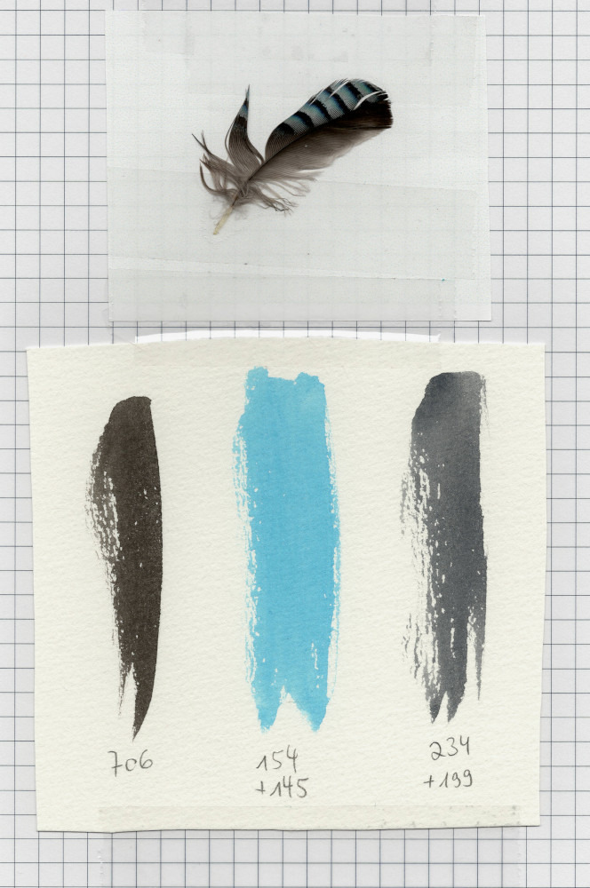 Feder - schwarz, blau